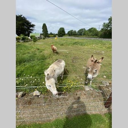 Limerick Junction Breathneach Houseヴィラ エクステリア 写真