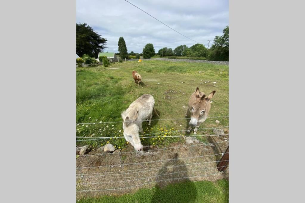 Limerick Junction Breathneach Houseヴィラ エクステリア 写真