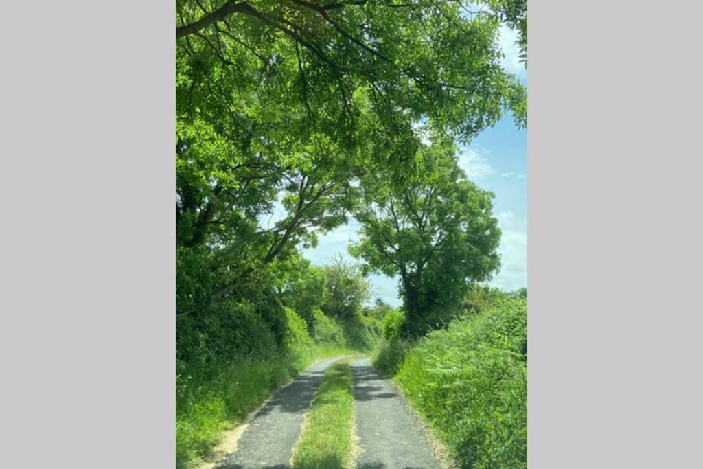 Limerick Junction Breathneach Houseヴィラ エクステリア 写真