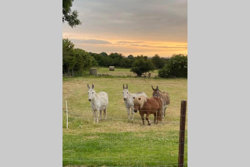 Limerick Junction Breathneach Houseヴィラ エクステリア 写真